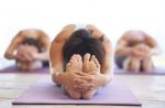 Las posturas Asana dentro del Yoga